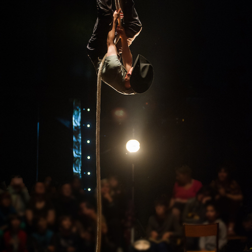 L'ÂNE & LA CAROTTE / Galapiat Cirque / Festival SPRING