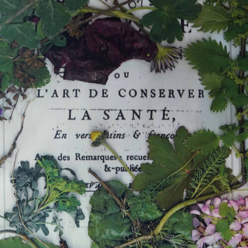 l'art de conserver la santé - ondine cloez