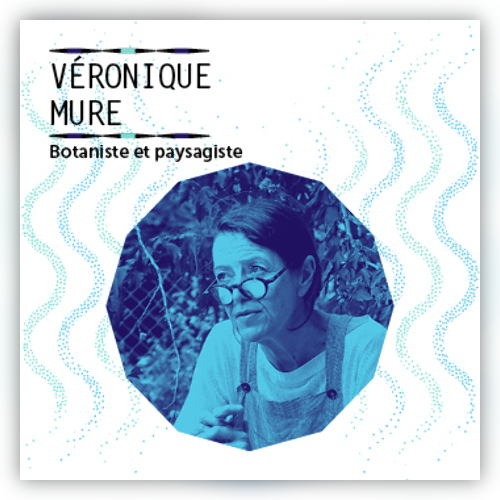 SIMPLE CONFERENCE - Véronique Mure - Cie Lanicolacheur