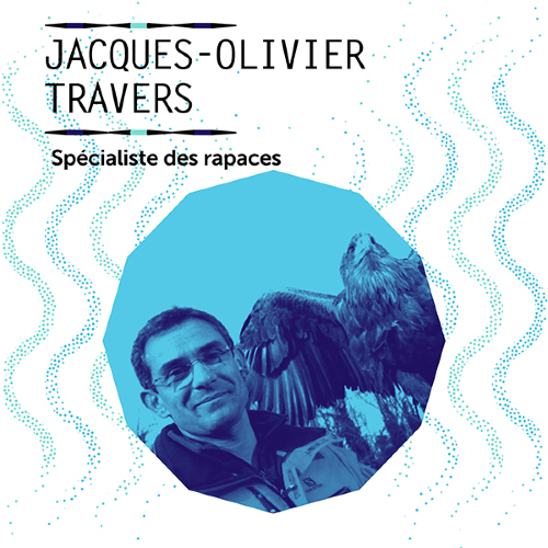 LES SIMPLES CONFERENCES - JACQUES OLIVIER TRAVERS - Cie Lanicolacheur
