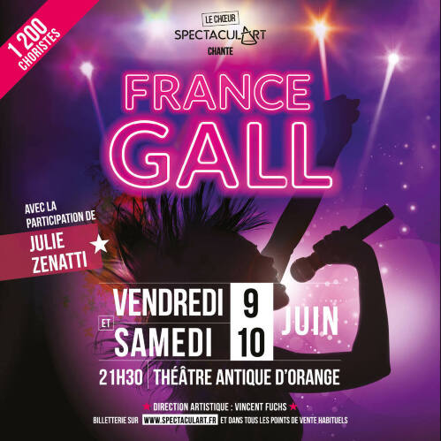 EXCLU - France Gall : mon projet de spectacle musical autour de Michel  Berger