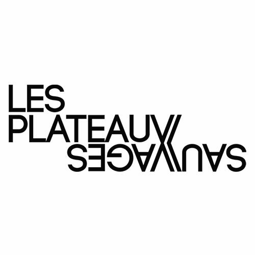 Terrain Vague - m.e.s Pascal Kirsch / Les Plateaux Sauvages