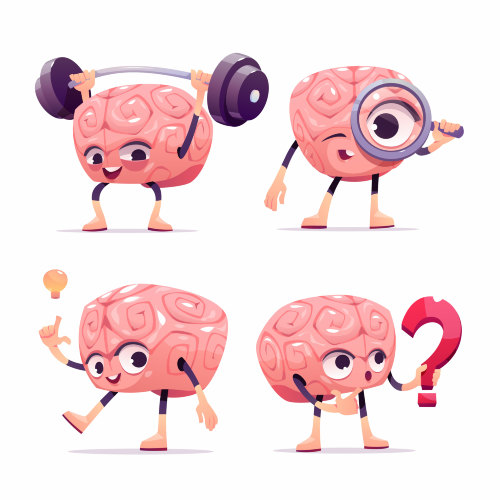 Atelier "le cerveau, mais quel est cet organe si étrange ?"