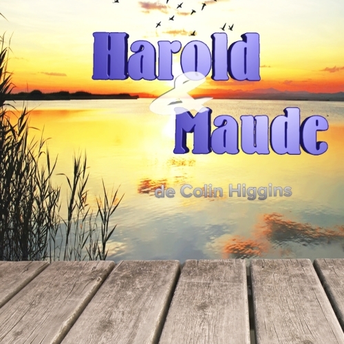 Harold & Maude, de Colin Higgins