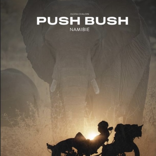 Push-Bush