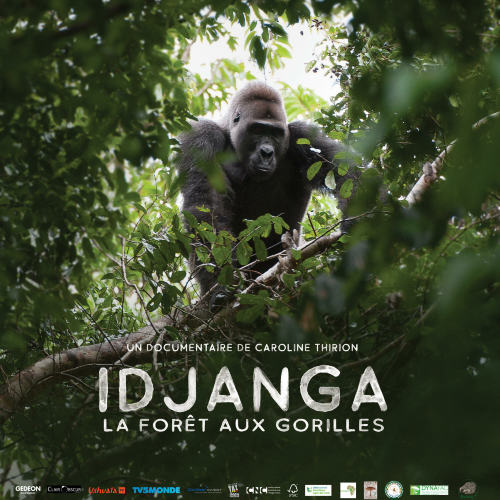 Idjanga, La forêt aux gorilles