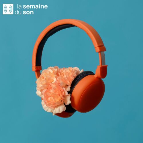 VOIR PAR LES OREILLES