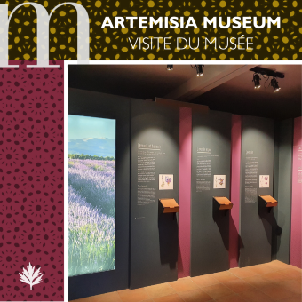 Artemisia museum - Billetterie - 