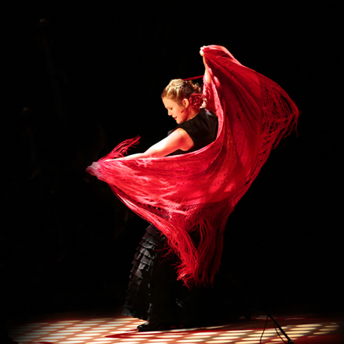 Tempo Flamenco 