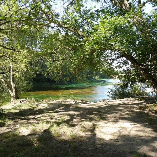 Balade en forêt avec Loiret Nature Environnement | en lien avec le spectacle Le Bruit des Loups