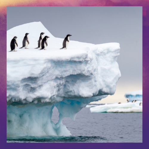 "Antarctique, aux confins du monde " par Luc Dénoyer