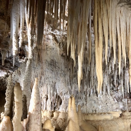 Journée de la musique souterraine, Grotte de Clamouse