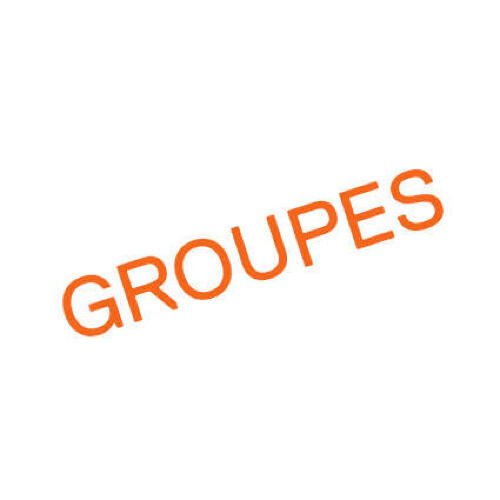 GROUPES // PRATIQUES COSMOMORPHES - (RÉ)GÉNÉRER LE VIVANT