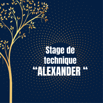 Stage de "Technique Alexander" - 26 & 27 août 2024 (matin)