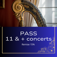 PASS 11 concerts et + FESTIVAL 2024