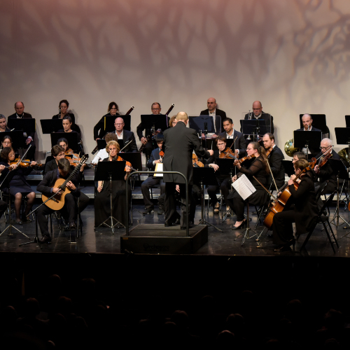 ORCHESTRE MELUN VAL DE SEINE - DECEMBRE 2024