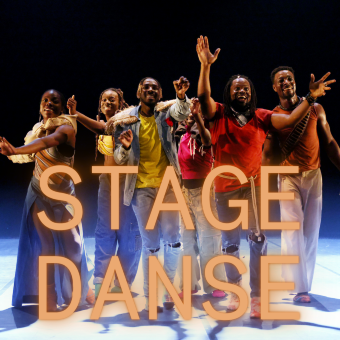 [STAGE DANSE] MATIERE(S) PREMIERE(S)