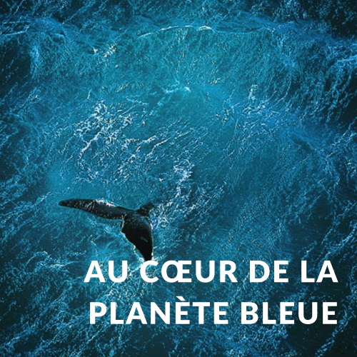 Au cœur de la planète bleue