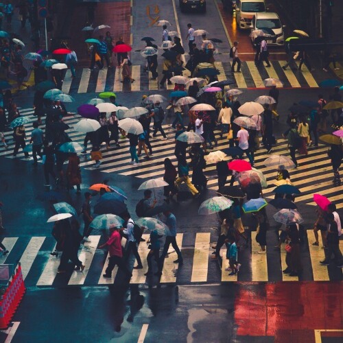 Shibuya / L.Bègue