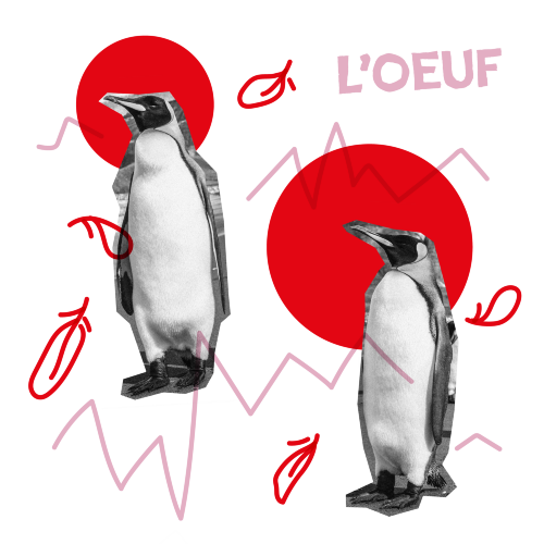 L’œuf