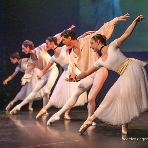 Les codes secrets du ballet romantique - Opéra National de Bordeaux