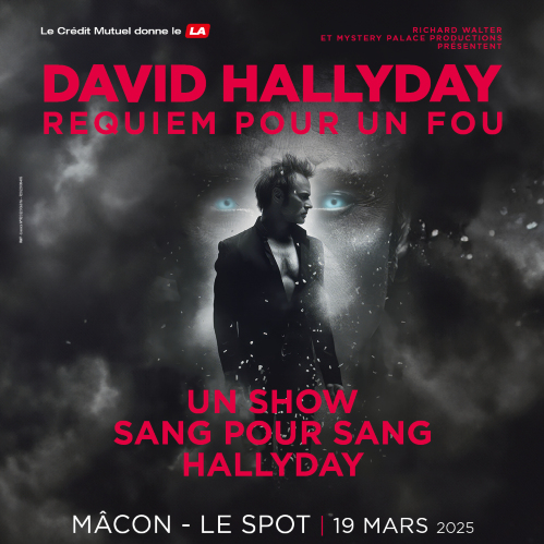 DAVID HALLYDAY - REQUIEM POUR UN FOU - Mâcon