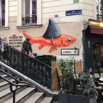 Atelier cuisine / Cantine éphémère