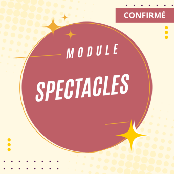 Module Spectacle : Apprendre à jouer "Le cabaret d'impro" - Formule Cours - Lyon - SP04