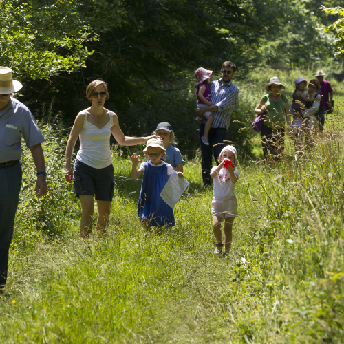 Bain de Forêt Musical Spécial Famille - Journées Européennes du Patrimoine 2024