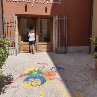 Visite guidée du Musée de la fleur d'Ollioules - JEP 2024