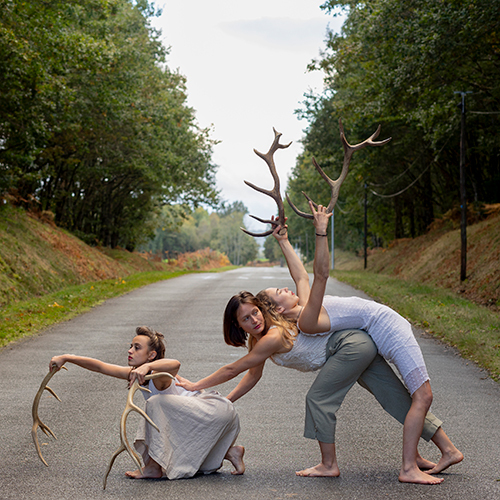 FAUNE - ESPACE PAUL JARGOT