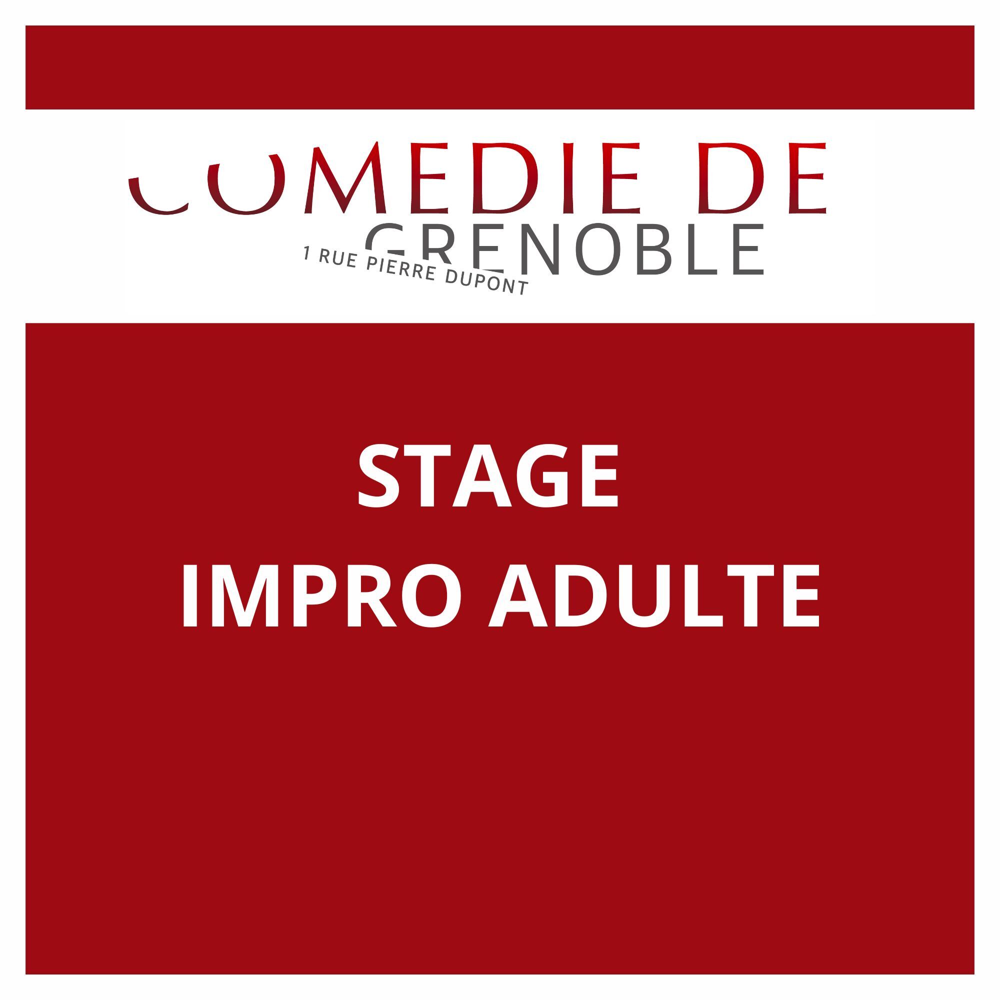 🎭 Stage d’improvisation – Adultes