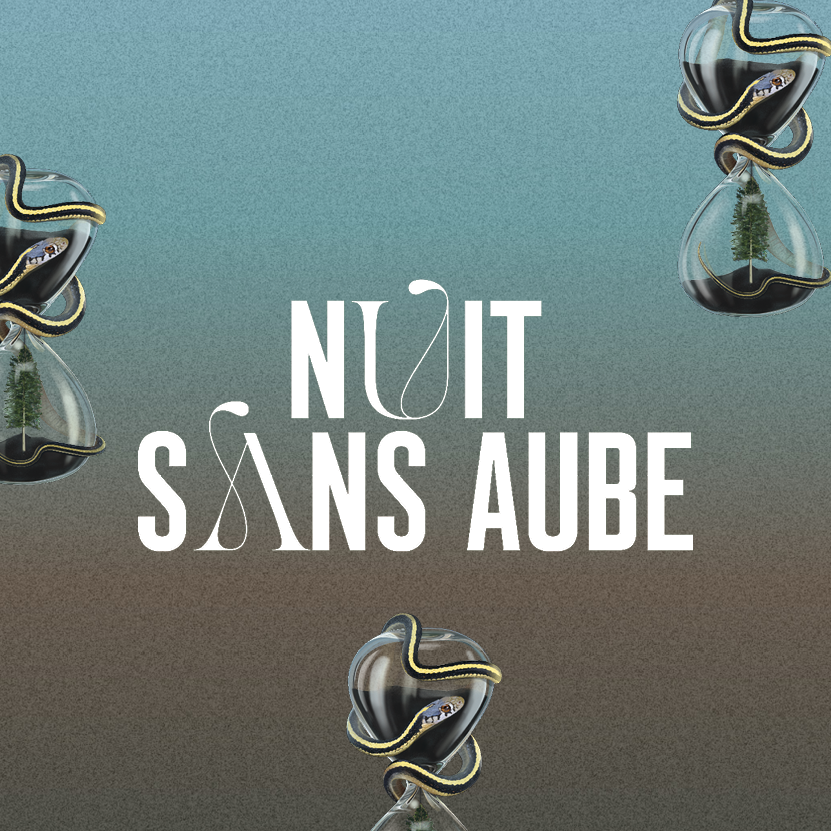 Nuit sans aube │M. Pintscher & D. Gerzenberg