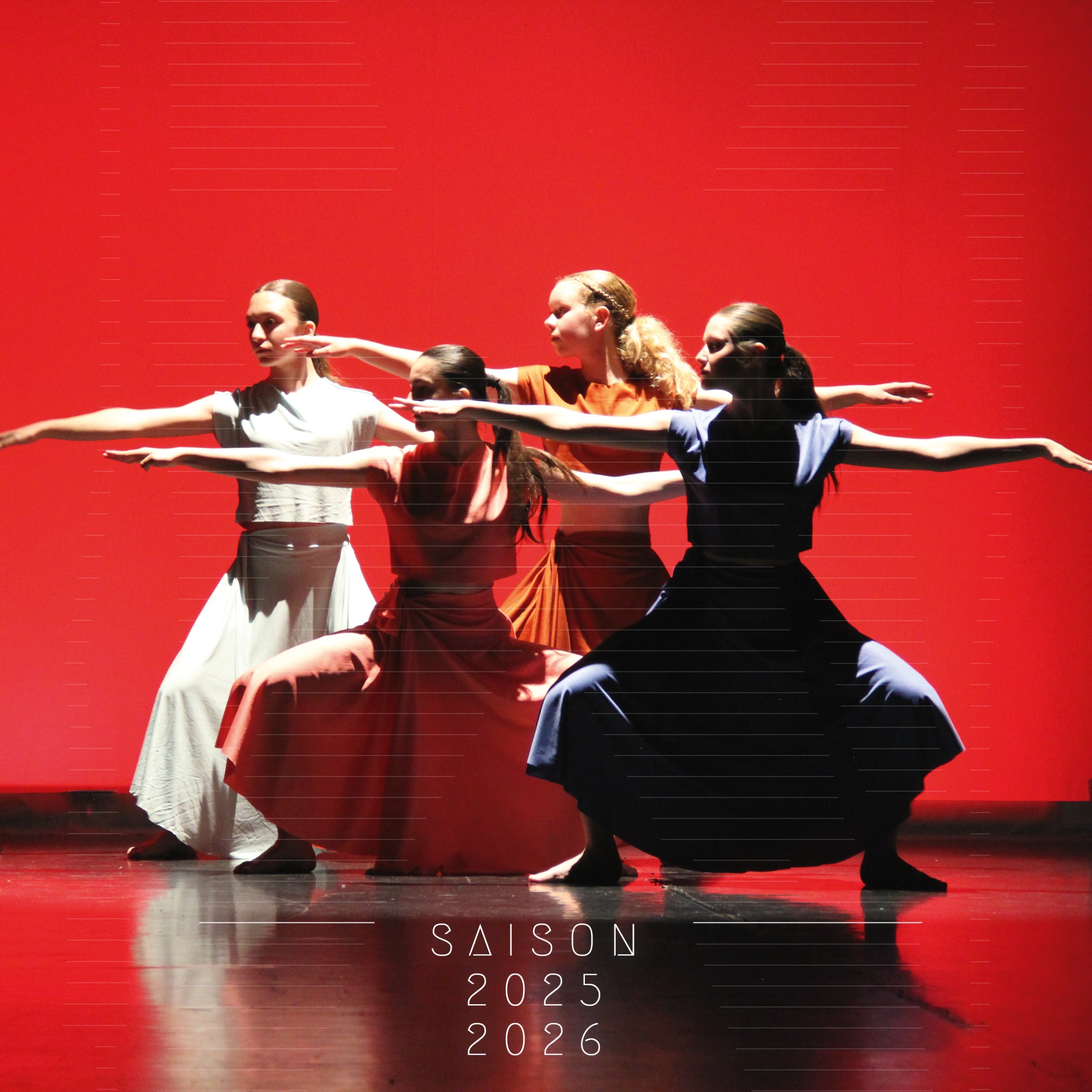 SPECTACLE BIENNAL DE DANSE
