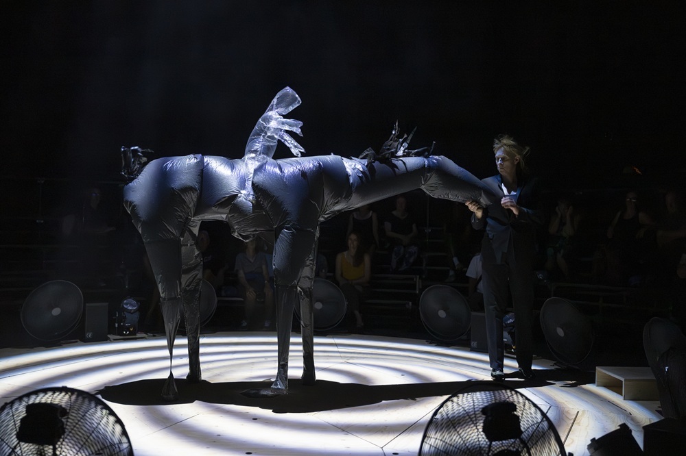 Nocturne (Parade) › Compagnie Non Nova · Phia Ménard