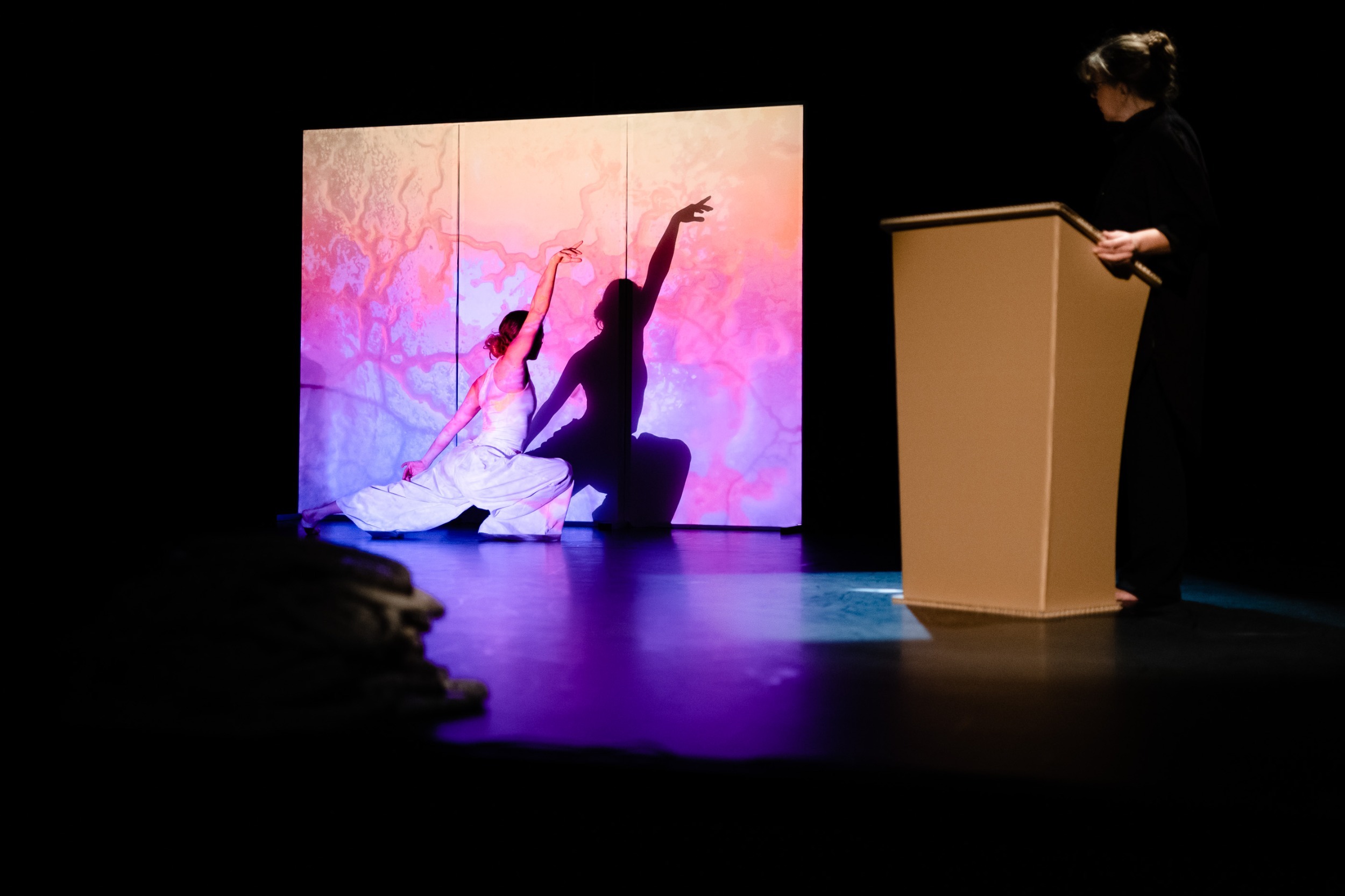 Blob | COMPAGNIE TESTUDINES