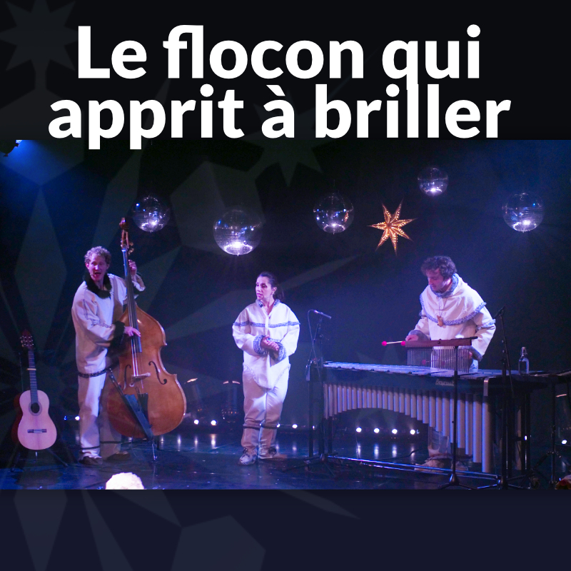 Affiche de Le flocon qui apprit à briller