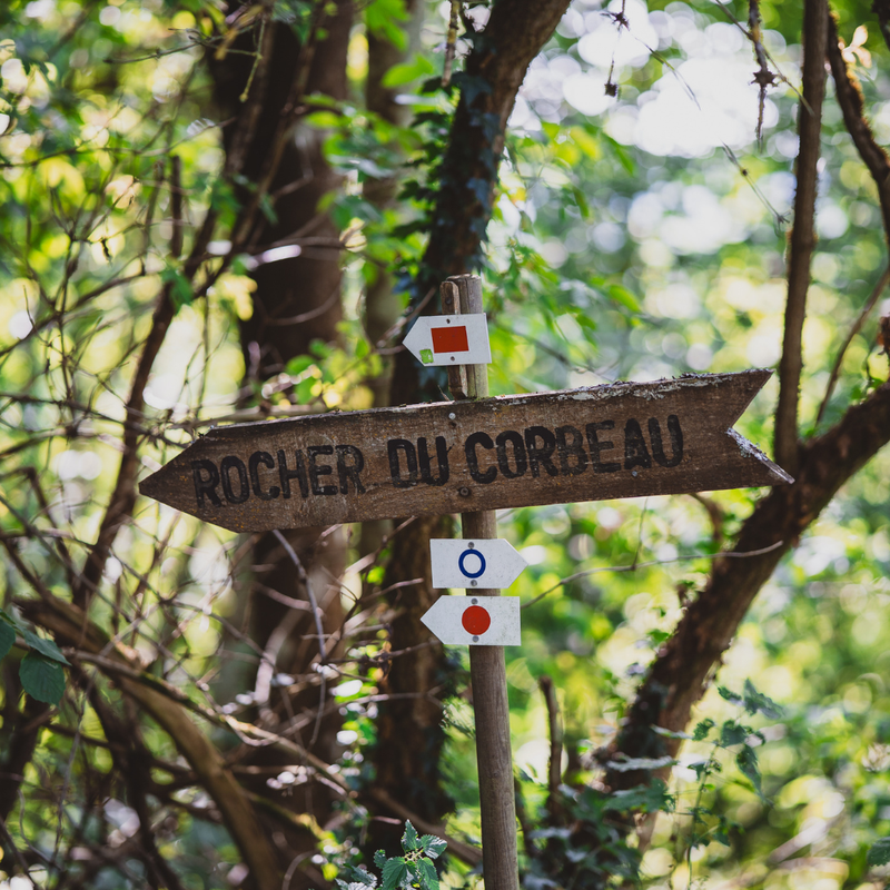 Balade circulaire du Rocher du Corbeau